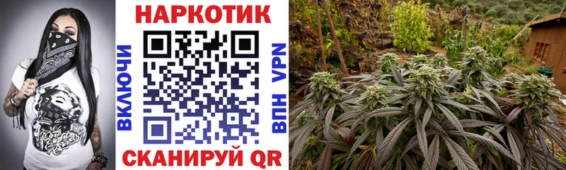  COCAIN Козельск