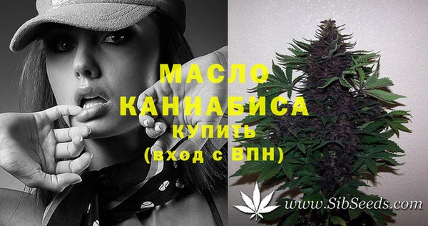 индика Богородицк