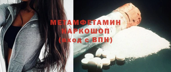 индика Богородицк