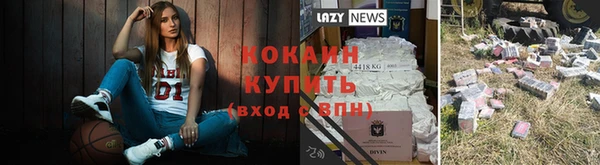 индика Богородицк