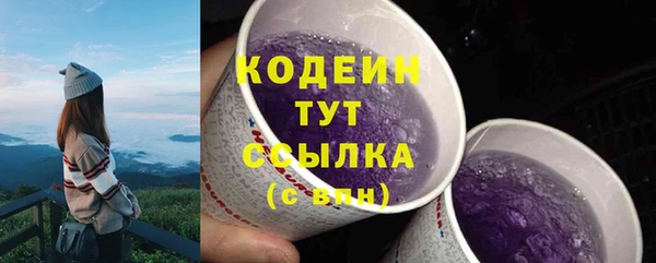 индика Богородицк