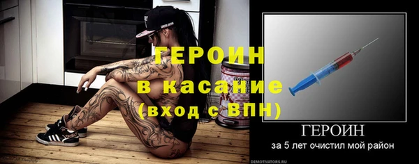 гидра Богородск