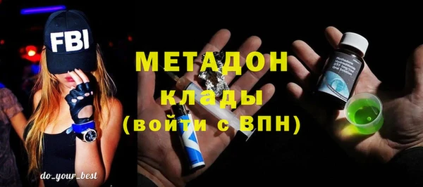 индика Богородицк