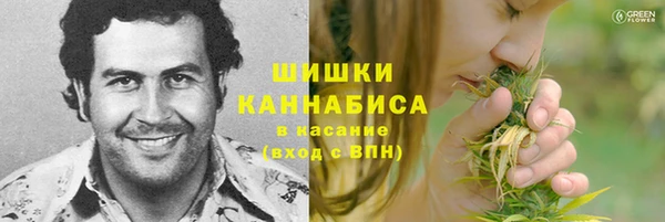 гидра Богородск