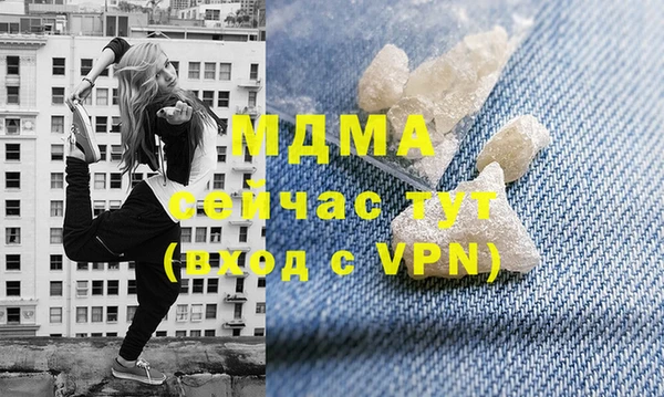 индика Богородицк
