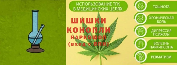 гидра Богородск