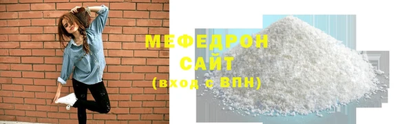 индика Богородицк