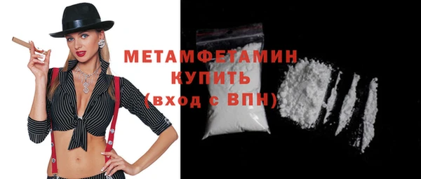 индика Богородицк