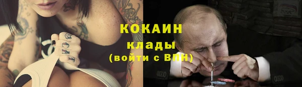 индика Богородицк