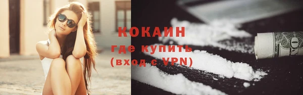 индика Богородицк