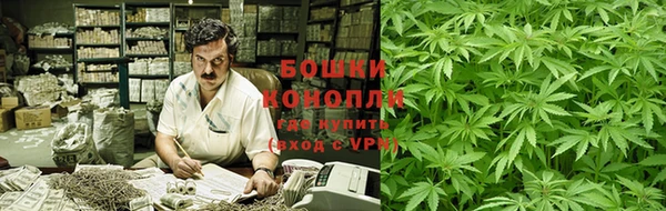 индика Богородицк
