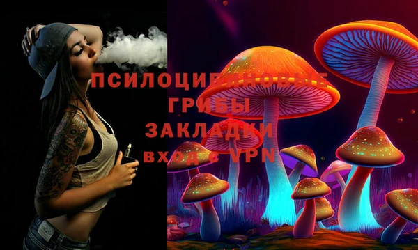 гидра Богородск
