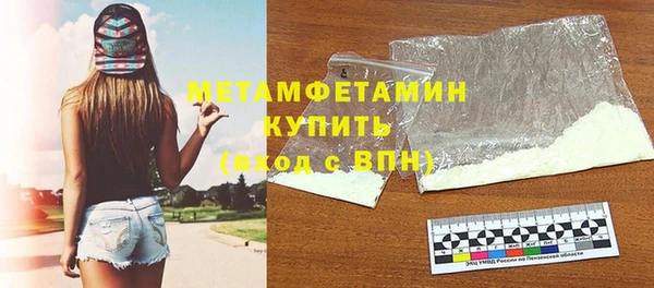 индика Богородицк