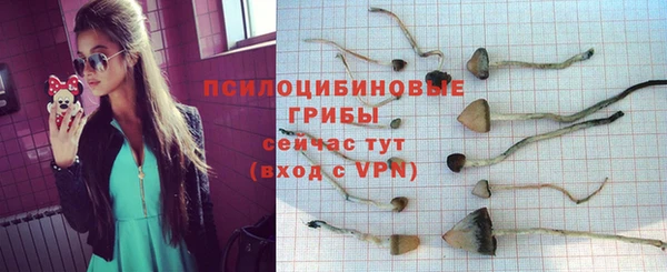 соль курить ск Богданович