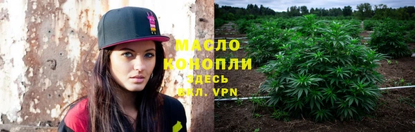 индика Богородицк