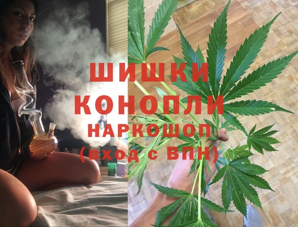 индика Богородицк