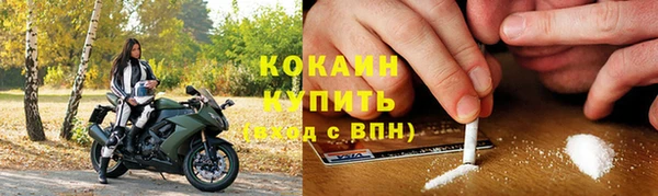 гидра Богородск