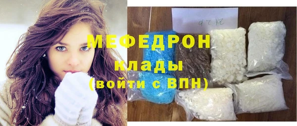 индика Богородицк