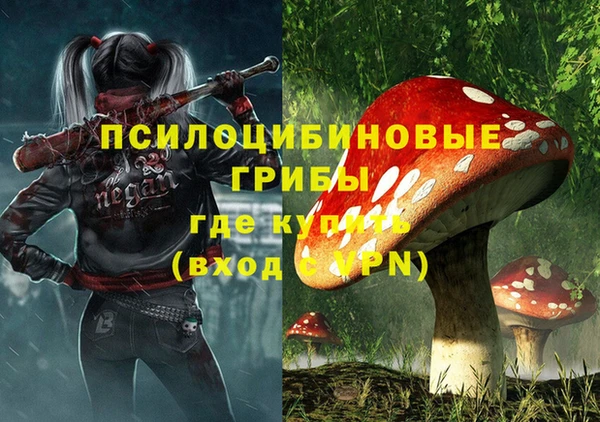 соль курить ск Богданович
