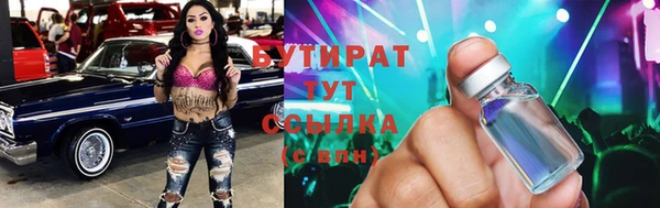 гидра Богородск